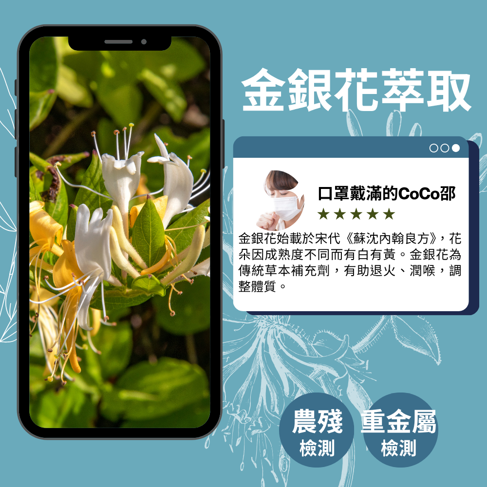 療肺草複合膠囊 Lungwort Complex 添加金銀花+薑 深呼吸配方 60顆 全素《UrSupplements》-細節圖4