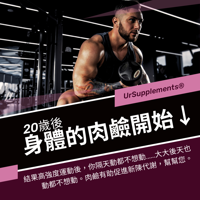 左旋肉鹼液態膠囊 L-Carnitine 日本專利 500mg/30顆/PTP片 全素《UrSupplements》-細節圖4