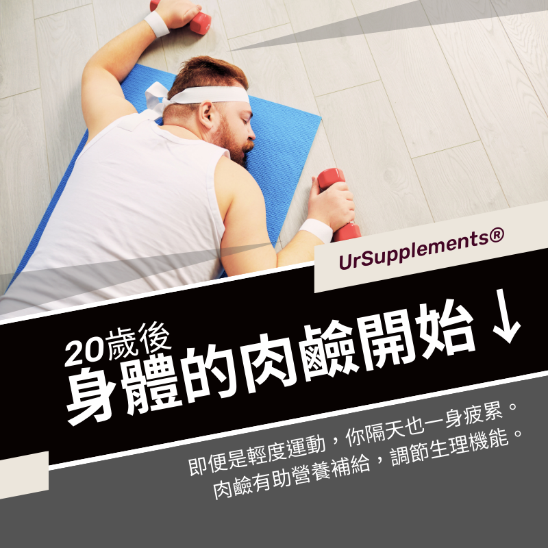 左旋肉鹼液態膠囊 L-Carnitine 日本專利 500mg/30顆/PTP片 全素《UrSupplements》-細節圖5