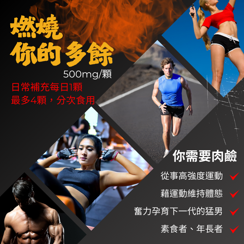 左旋肉鹼液態膠囊 L-Carnitine 日本專利 500mg/30顆/PTP片 全素《UrSupplements》-細節圖6