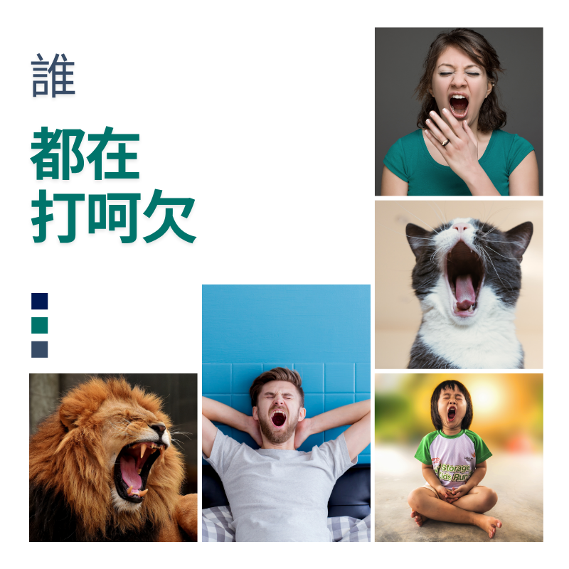 甘胺酸鎂膠囊 Novomin商標授權 每顆鎂含量60mg 60顆/瓶 非素食《UrSupplements》-細節圖2