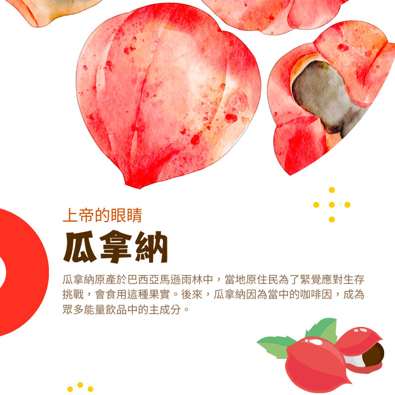 瓜拿納萃取膠囊 Guarana 定量咖啡因 caffeine 60顆/瓶 全素《UrSupplements》-細節圖2