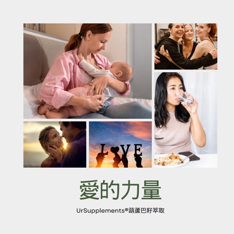 葫蘆巴籽萃取膠囊 Fenugreek Seed 定量葫蘆巴皂苷 100顆/瓶 全素《UrSupplements》-細節圖3