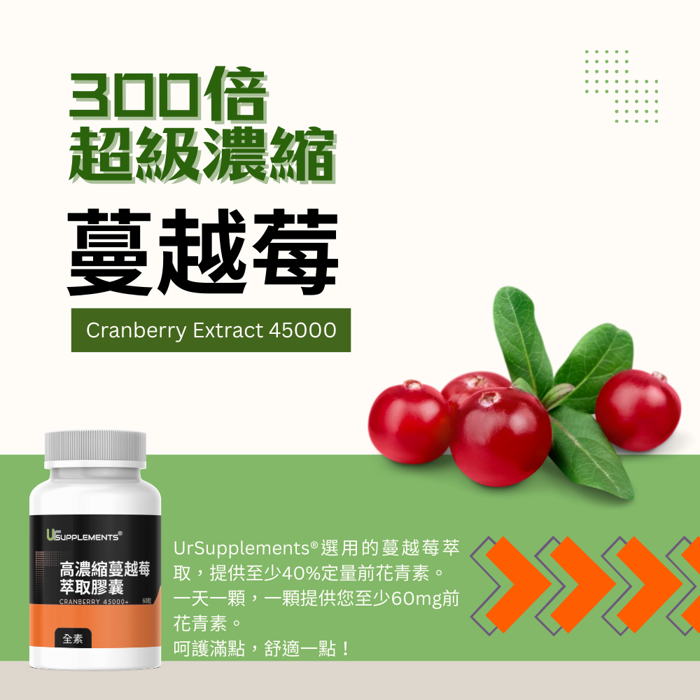 高濃縮蔓越莓萃取膠囊 Cranberry Extract 定量花青素 60顆/瓶 全素《UrSupplements》-細節圖2