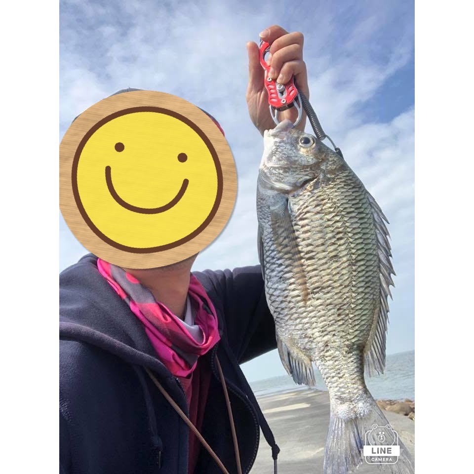 真空包裝高梁酒糟-不可食用！（釣魚大咬使用！）超商最多一次2包！-細節圖2