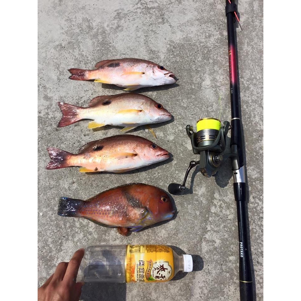 真空包裝高梁酒糟-不可食用！（釣魚大咬使用！）超商最多一次2包！-細節圖3