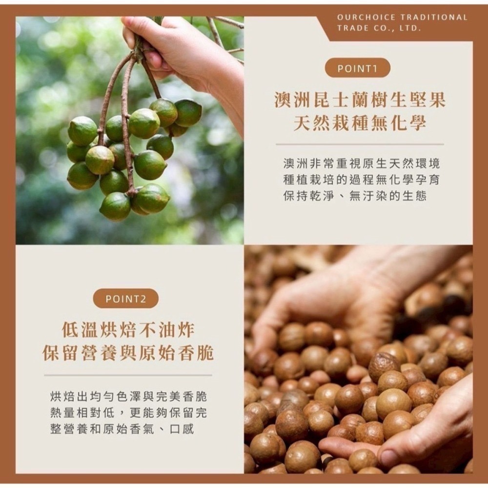 Macadamias Australia 澳洲帶殼夏威夷豆 225g 澳洲夏威夷果 夏威夷豆-細節圖3
