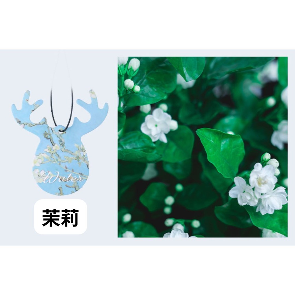 清香茉莉