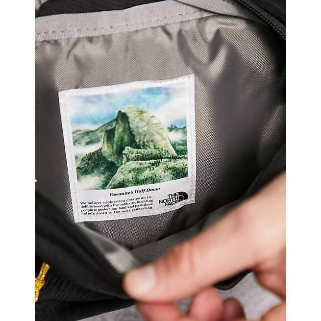 -滿3000免運-[雙和專賣店]THE NORTH FACE 腰包 4L/ BERKELEY LUMBAR/52VU/黑-細節圖3