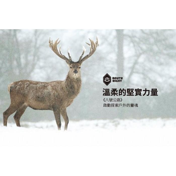 -滿3000免運-[The North Face雙和專賣店]Route8 KORUS 防水保暖手套(石磚灰) 可觸控滑屏-細節圖8