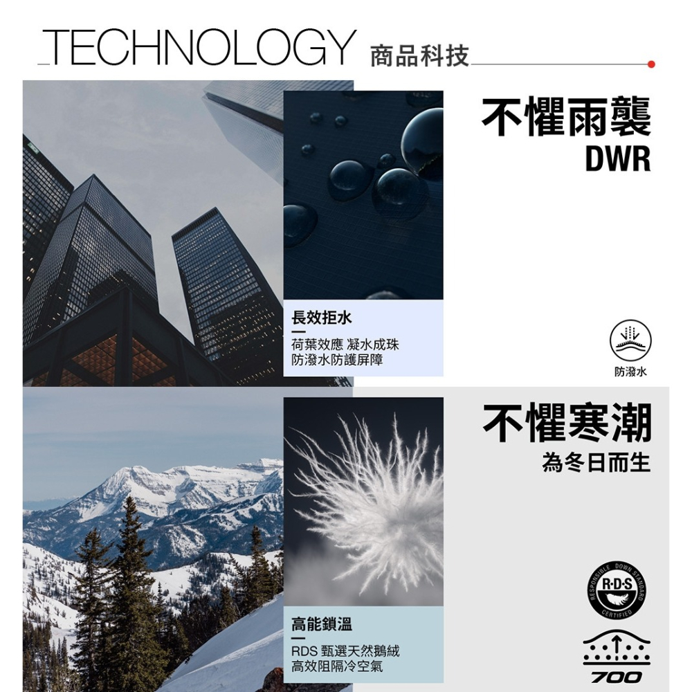 -滿3000免運-雙和專賣店【經典ICON】THE NORTH FACE1996 Nuptse羽絨外套/3XEO/沙丘白-細節圖11