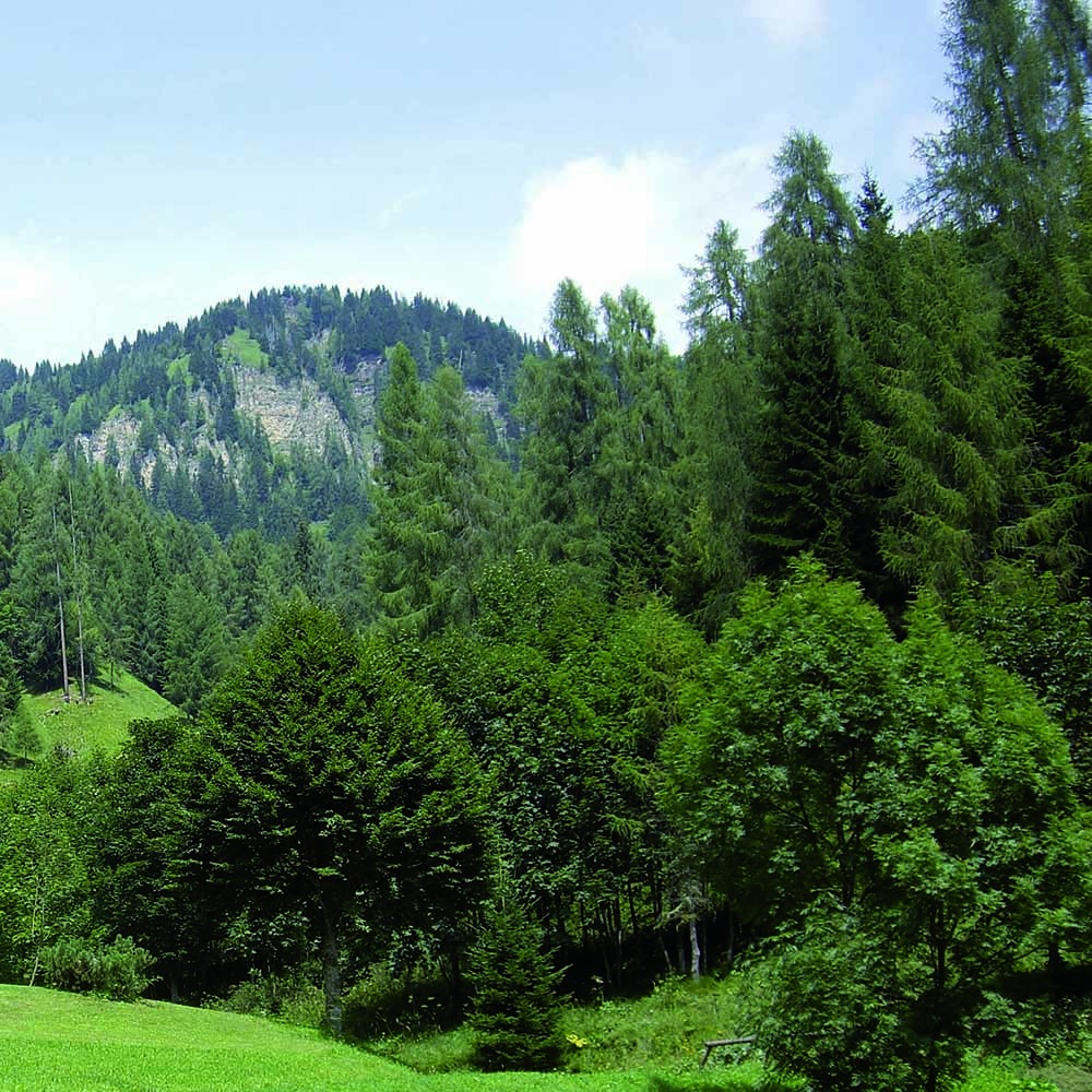 特惠出清【SIRIO】Gore-Tex3E+ 寬楦中筒登山健行鞋-咖棕PF302-細節圖2