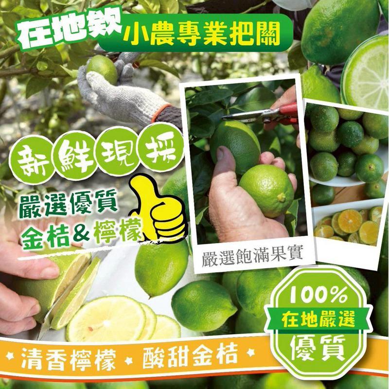 【粿女兒商行】🔥現貨 金桔檸檬梅子茶包(3gx12入)-細節圖3