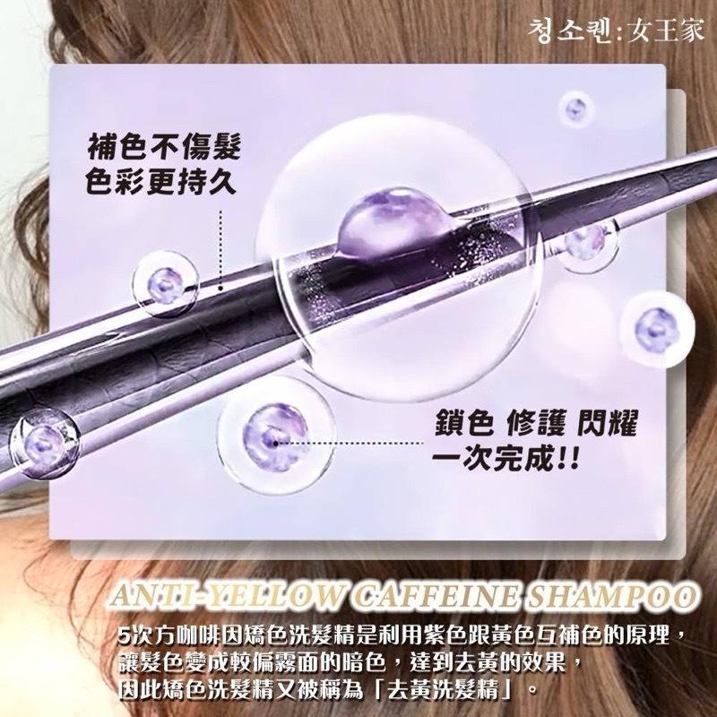 【粿女兒商行】🔥現貨 청소켄 女王家 5次方咖啡因矯色洗髮精 500ml(瓶)-細節圖2