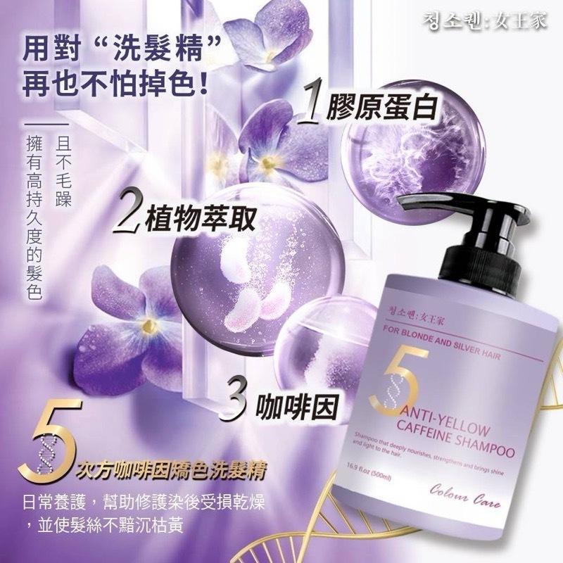 【粿女兒商行】🔥現貨 청소켄 女王家 5次方咖啡因矯色洗髮精 500ml(瓶)-細節圖3
