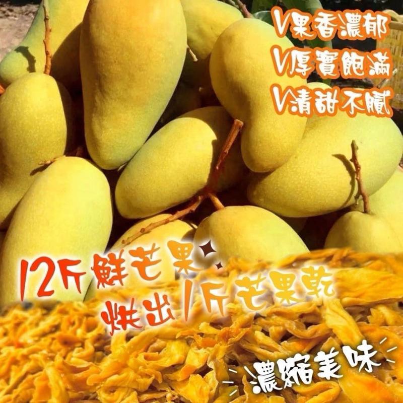 【粿女兒商行】🔥現貨 台南玉井手切低糖金煌芒果乾 150g-細節圖3