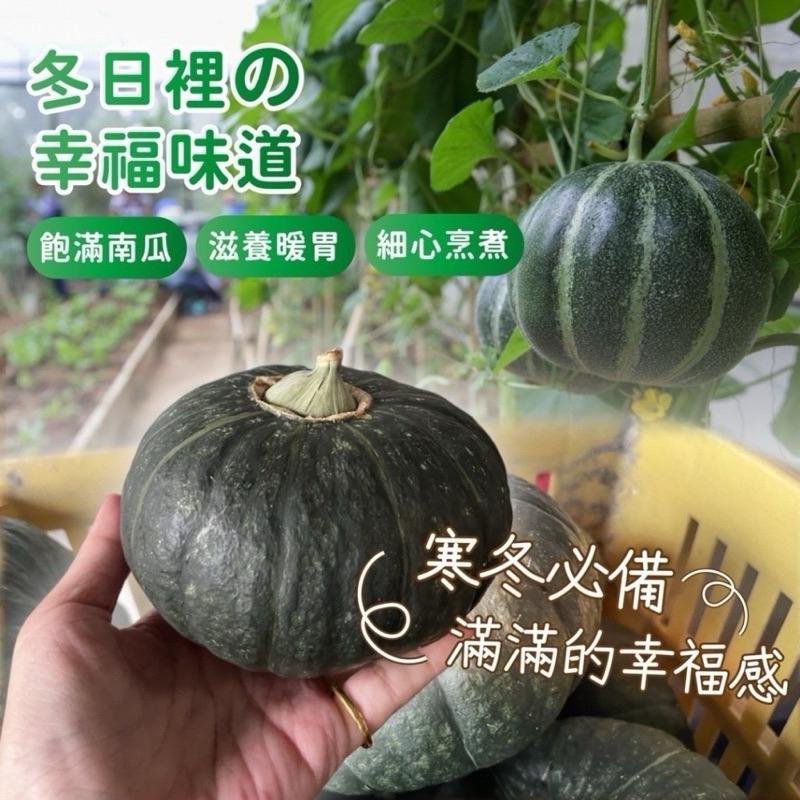 【粿女兒商行】🔥現貨 南瓜濃湯 180g-細節圖2