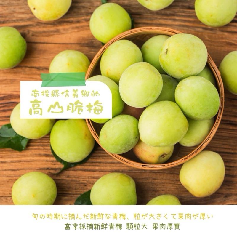 【粿女兒商行】🔥現貨 台灣青脆梅 180g-細節圖4