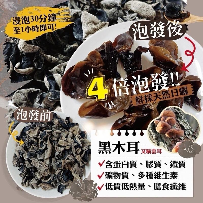 【粿女兒商行】🔥現貨 外銷日本 野生雲耳100g（又稱川耳）-細節圖4