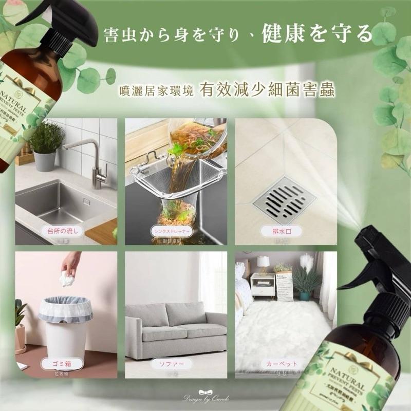 【粿女兒商行】 🔥現貨 澳洲尤加利 高濃度精油噴霧500ML-細節圖3
