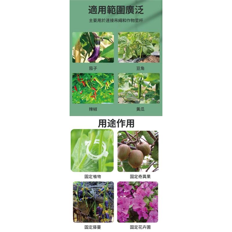 【粿女兒商行】🔥現貨 植物藤蔓穩定生長固定夾 園藝用品 器具-細節圖3
