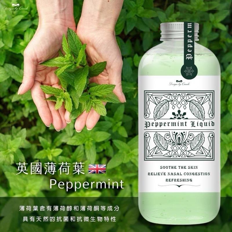 【粿女兒商行】🔥現貨 萬用舒涼薄荷水 大容量裝500ML-細節圖2