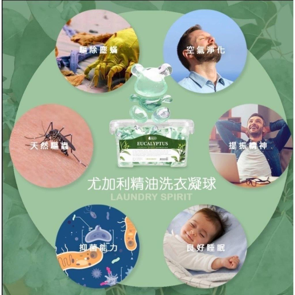 【粿女兒商行】🔥現貨 倍立淨 尤加利精油洗衣凝球80顆入（升級版）-細節圖4