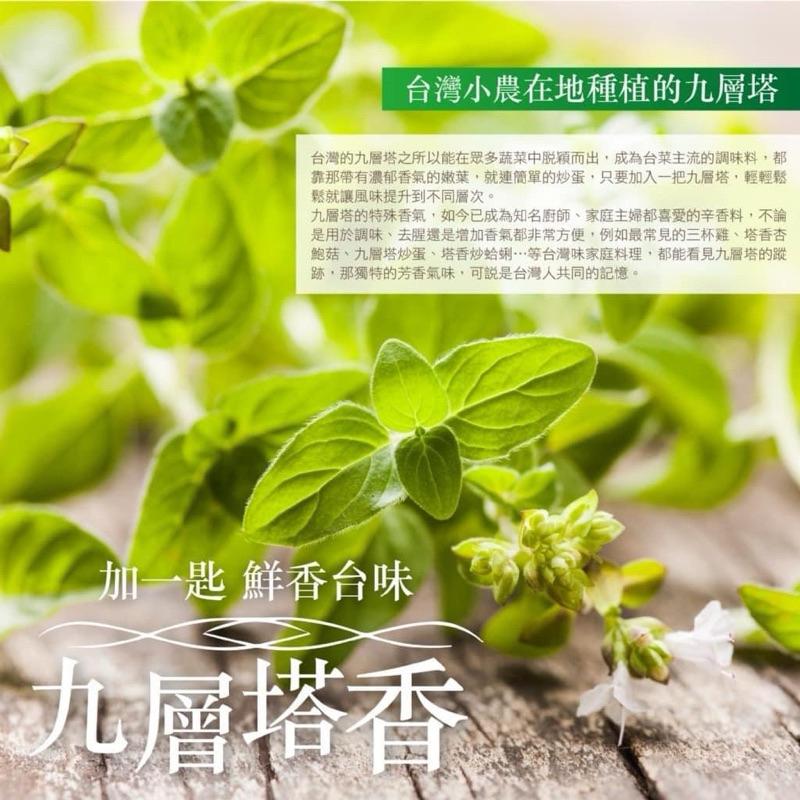 【粿女兒商行】🔥現貨 現貨 塔香椒鹽100g 九層塔香 一撒入魂✨超百搭 炸物✅蔥油餅✅-細節圖2