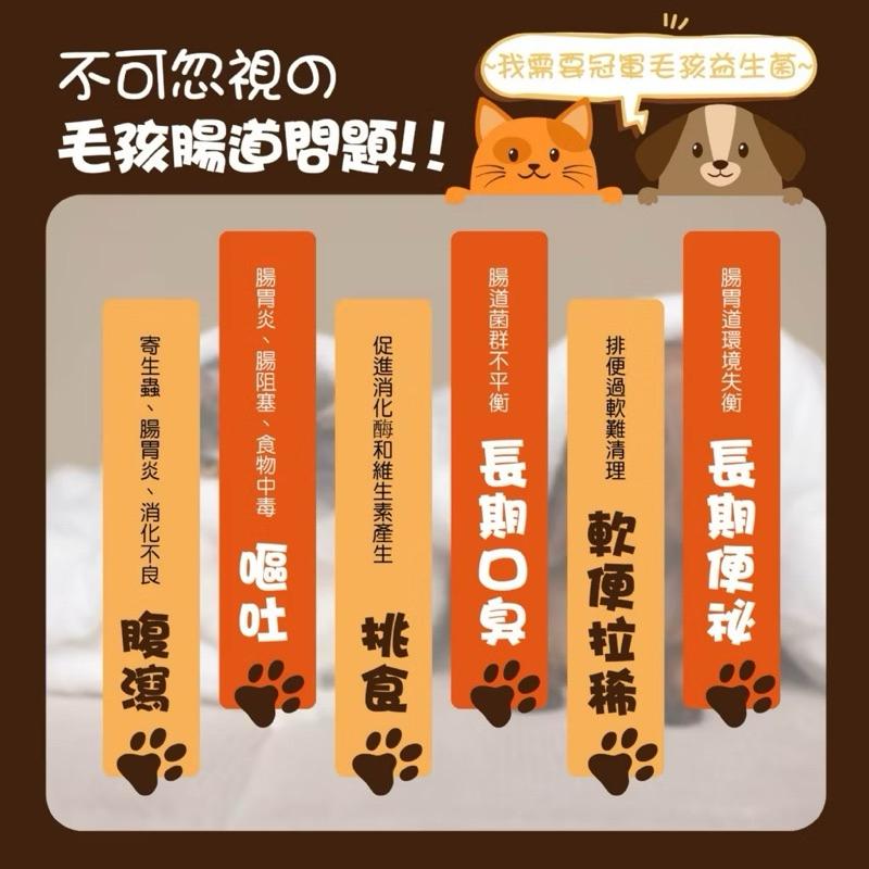 【粿女兒商行】🔥現貨 冠軍毛孩益生菌 （2g*33包）毛小孩專屬的腸胃道保健-細節圖6