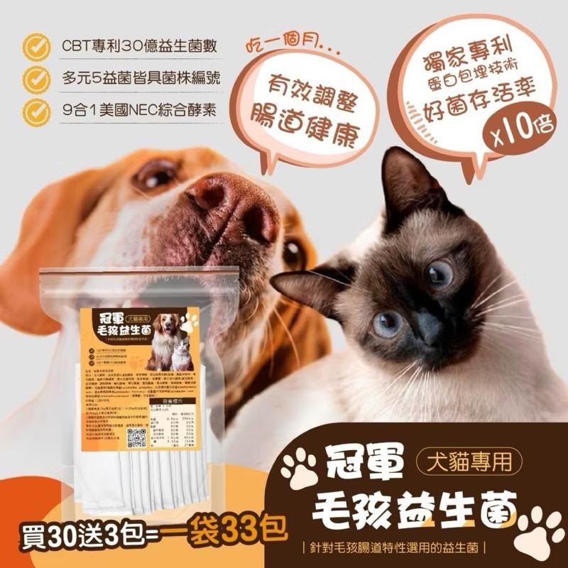 【粿女兒商行】🔥現貨 冠軍毛孩益生菌 （2g*33包）毛小孩專屬的腸胃道保健-細節圖7