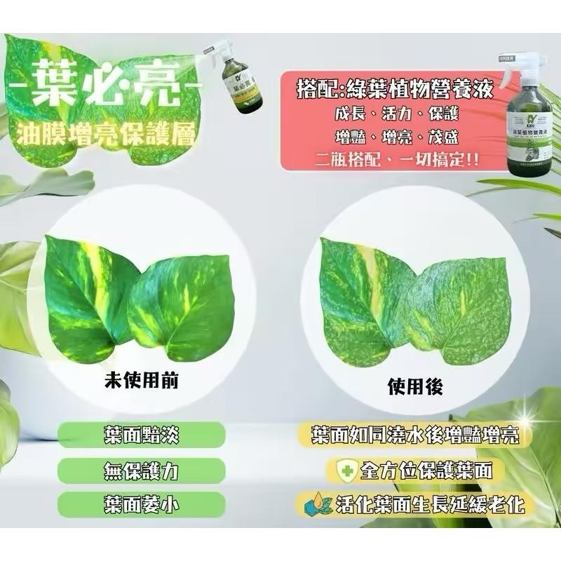 【粿女兒商行】🔥現貨 葉必亮植物營養液 500ml 天然有機 免稀釋 拯救植物葉面黯淡無生機-細節圖2