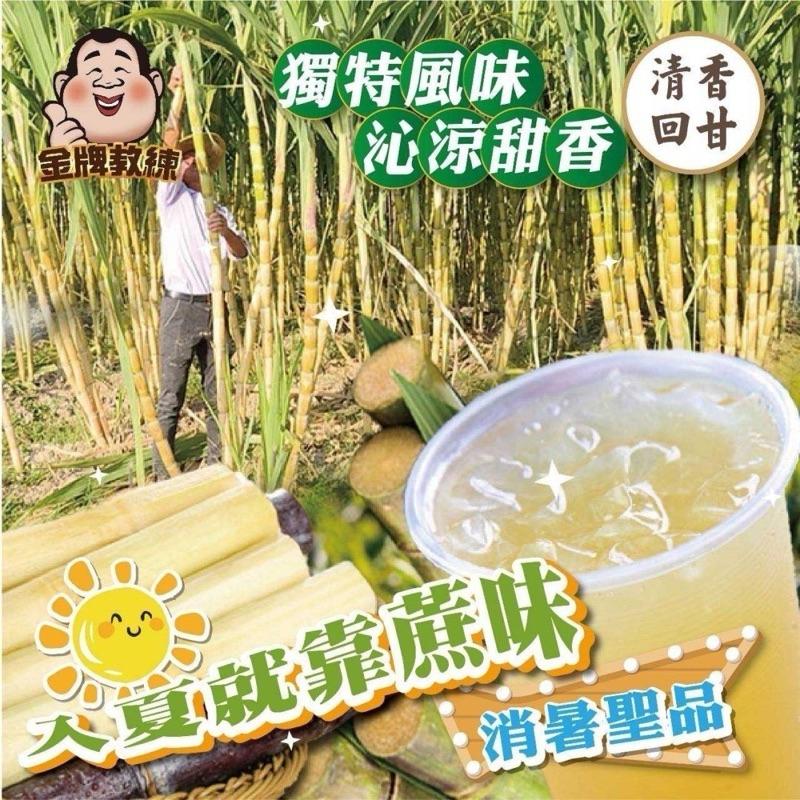 【粿女兒商行】 🔥現貨 蔗香青茶(增量版50入)-細節圖2
