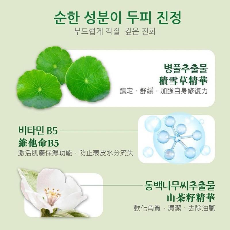 【粿女兒商行】🔥現貨 韓國원인미-積雪草B5頭皮去角質慕斯450ml-細節圖4