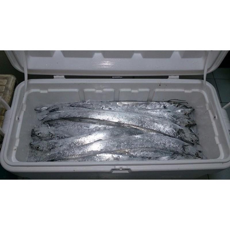 白帶 1x7 不鏽鋼 鋼絲 包尼龍 包皮歪仔-細節圖2