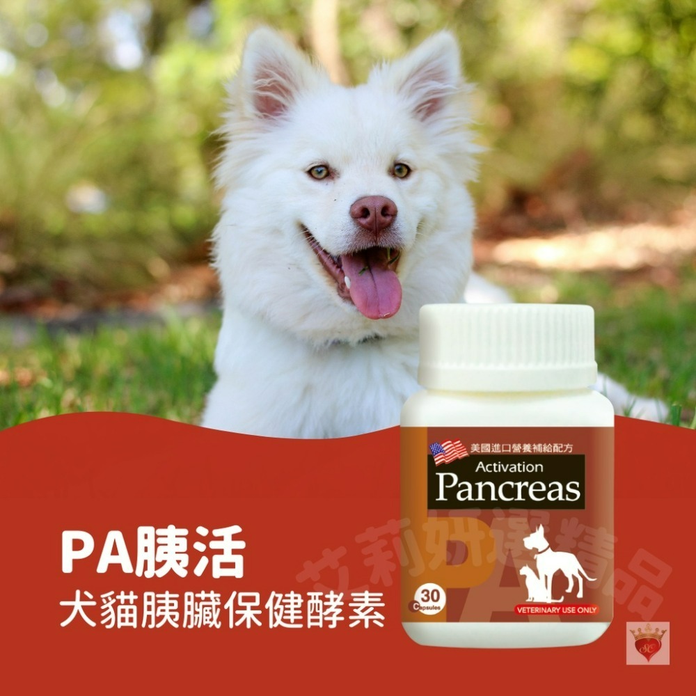 【毛孩公館】PA胰活 胰酵素 30顆 消化酵素 胰臟炎恢復保養 犬貓胰臟保健 寵物保健食品 官方直送 公司貨-細節圖3