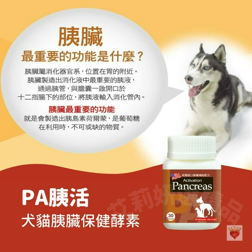 【毛孩公館】PA胰活 胰酵素 30顆 消化酵素 胰臟炎恢復保養 犬貓胰臟保健 寵物保健食品 官方直送 公司貨-細節圖4