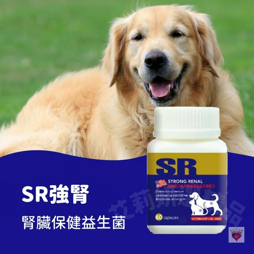 【毛孩公館】SR強腎 腎臟保健 日常保健 益生菌 犬貓適用 腎貓 腎狗 寵物保健食品 腎臟 食慾不振 開胃 60顆-細節圖4