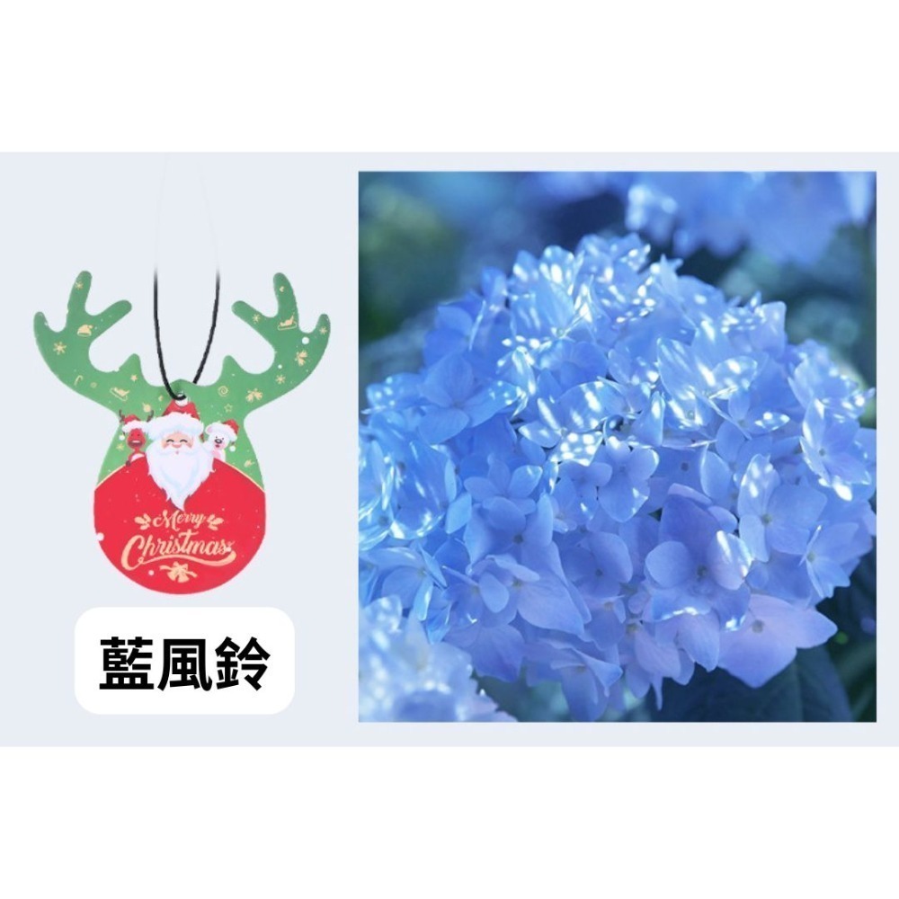 萬用香氛片 車用香氛 香水片 造型香氛片 汽車芳香片 香薰片 精油擴香片 香味片 居家擴香 香水紙 除臭片-規格圖6