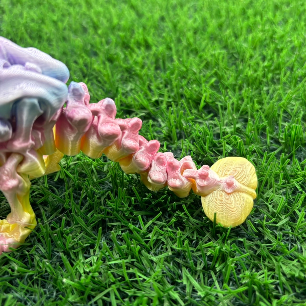 【LIL T3D】官方授權 3D列印 恐龍系列 遠古恐龍 玩具 3D列印玩具 可動 擺件 公仔 AQUA REX 暴龍-細節圖5