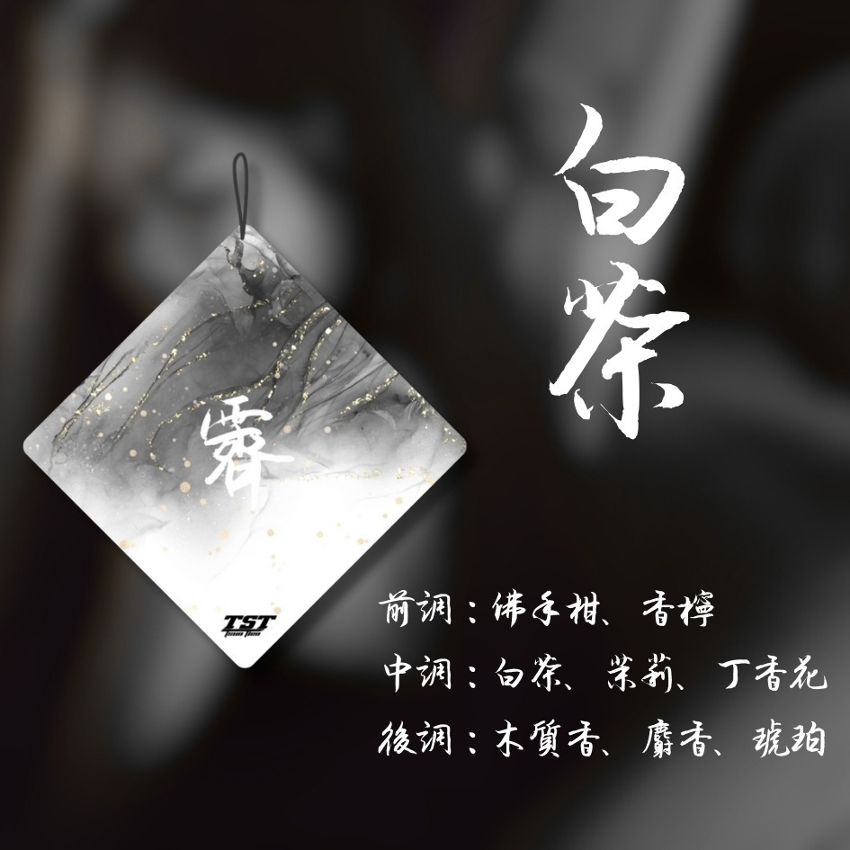 【TST竣天】夢・霽・浮 詩意香氛片 車用吊掛香片 衣櫥室內芳香 文青療癒小物 品牌香氛片 香薰片 香氛片 車用香氛-規格圖8