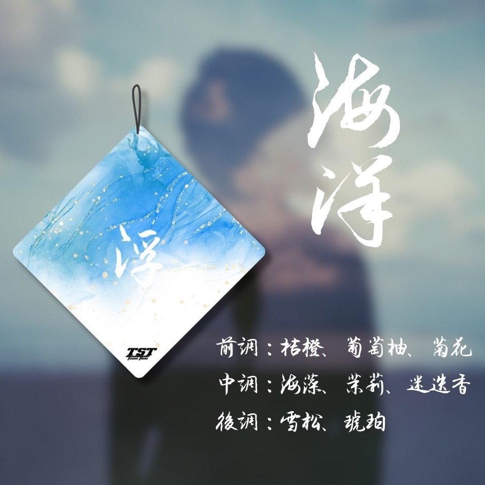 【TST竣天】夢・霽・浮 詩意香氛片 車用吊掛香片 衣櫥室內芳香 文青療癒小物 品牌香氛片 香薰片 香氛片 車用香氛-規格圖8