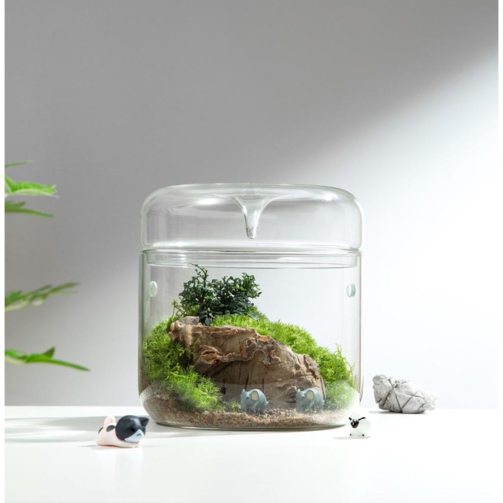 【詠湦水植工坊】Bioloark 露集杯｜ MY120 MY150 LH03 LH05 燈瓶組合 生態瓶 微景觀-細節圖2