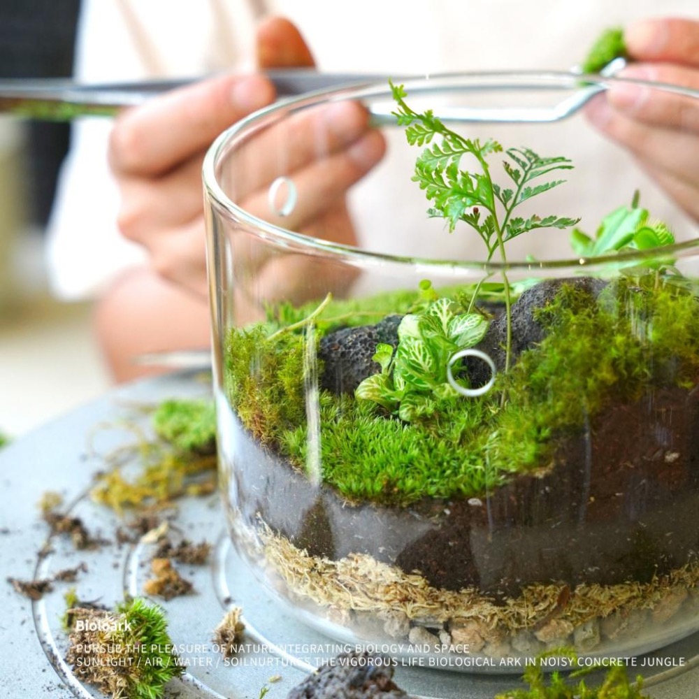 【詠湦水植工坊】Bioloark 露集杯｜ MY120 MY150 LH03 LH05 燈瓶組合 生態瓶 微景觀-細節圖3
