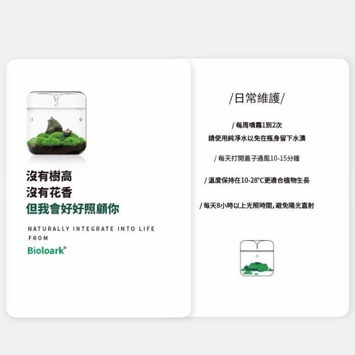 【詠湦水植工坊】Bioloark 露集杯｜ MY120 MY150 LH03 LH05 燈瓶組合 生態瓶 微景觀-細節圖4