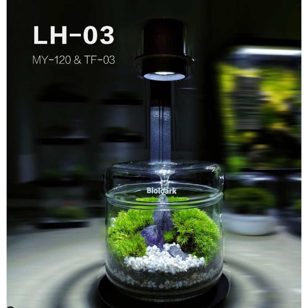 【詠湦水植工坊】Bioloark 露集杯｜ MY120 MY150 LH03 LH05 燈瓶組合 生態瓶 微景觀-細節圖6
