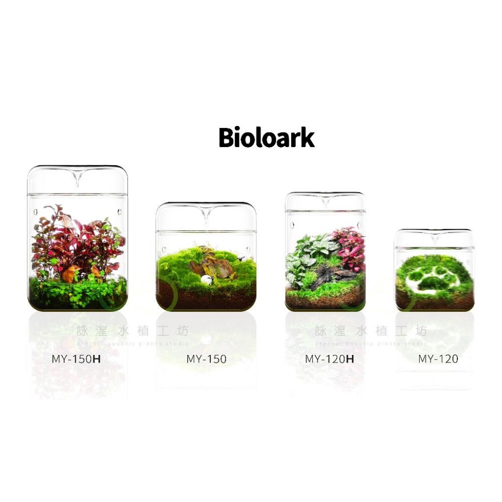 【詠湦水植工坊】Bioloark 露集杯｜ MY120 MY150 LH03 LH05 燈瓶組合 生態瓶 微景觀-細節圖9