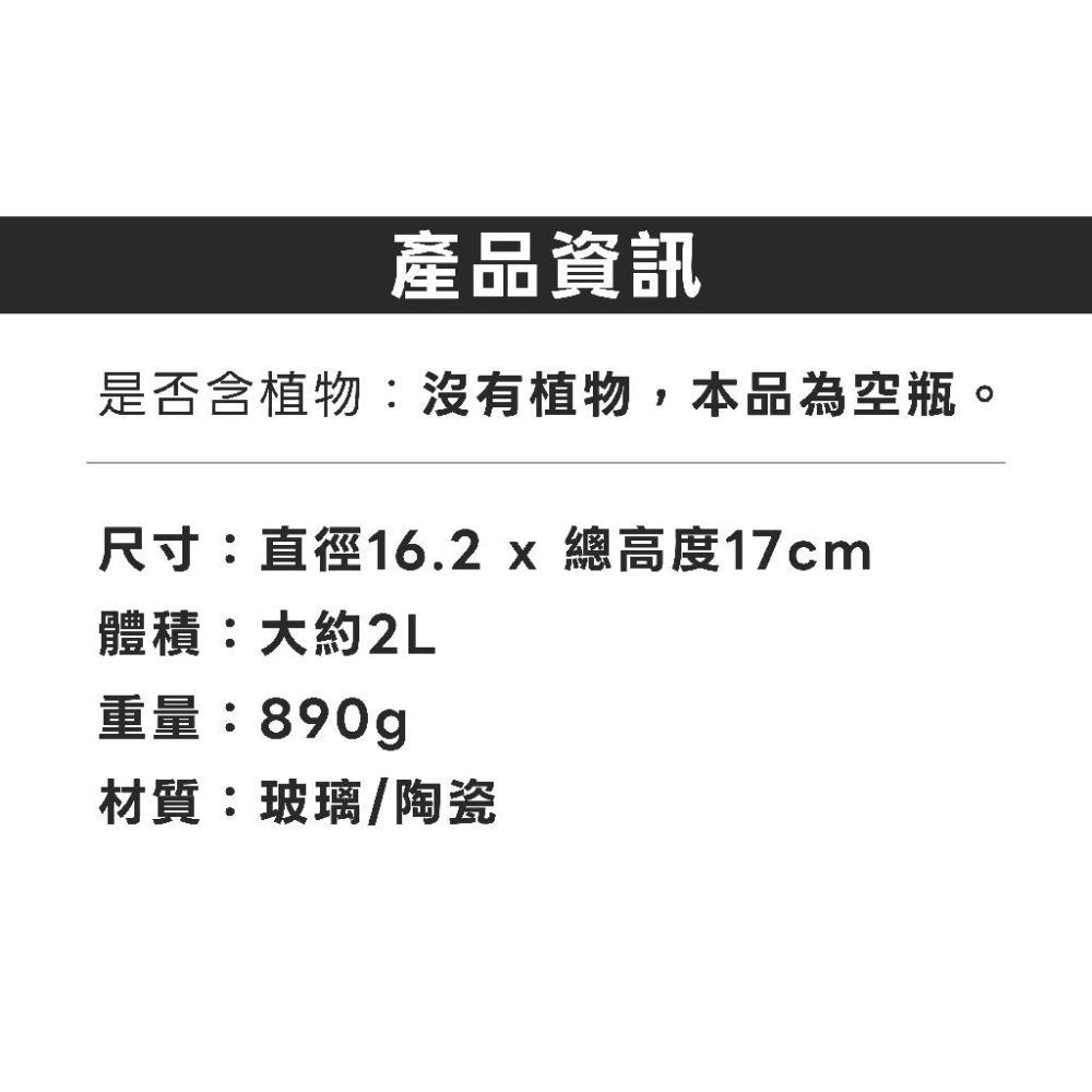 詠湦水植工坊｜Bioloark MY150K 新款 露集杯｜my-150K 生物方舟 生態瓶 苔蘚 多肉 微景觀-細節圖2