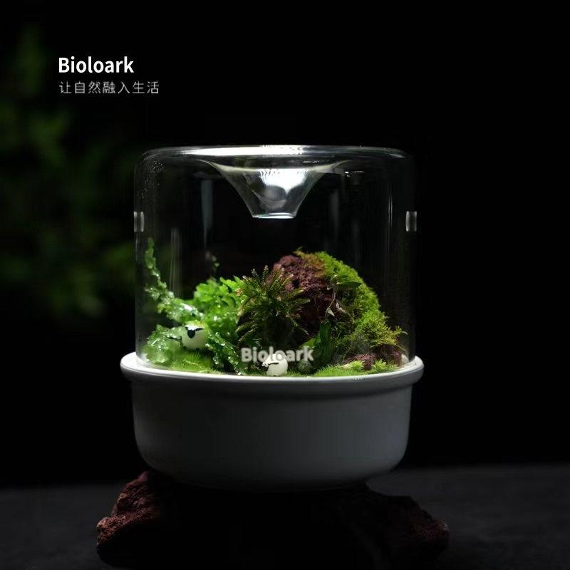 詠湦水植工坊｜Bioloark MY150K 新款 露集杯｜my-150K 生物方舟 生態瓶 苔蘚 多肉 微景觀-細節圖4