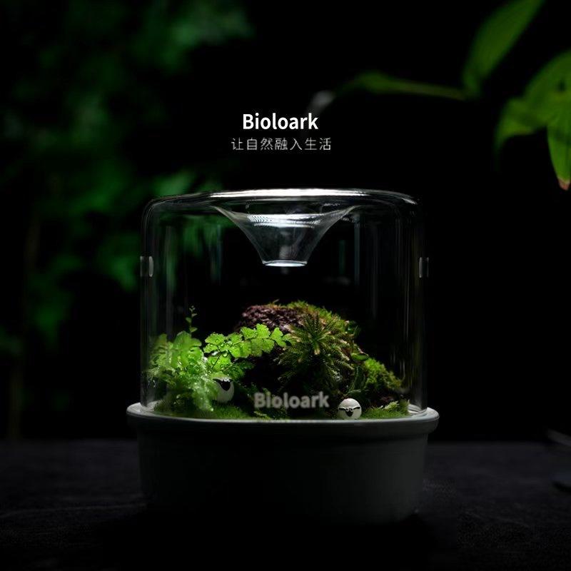 詠湦水植工坊｜Bioloark MY150K 新款 露集杯｜my-150K 生物方舟 生態瓶 苔蘚 多肉 微景觀-細節圖5