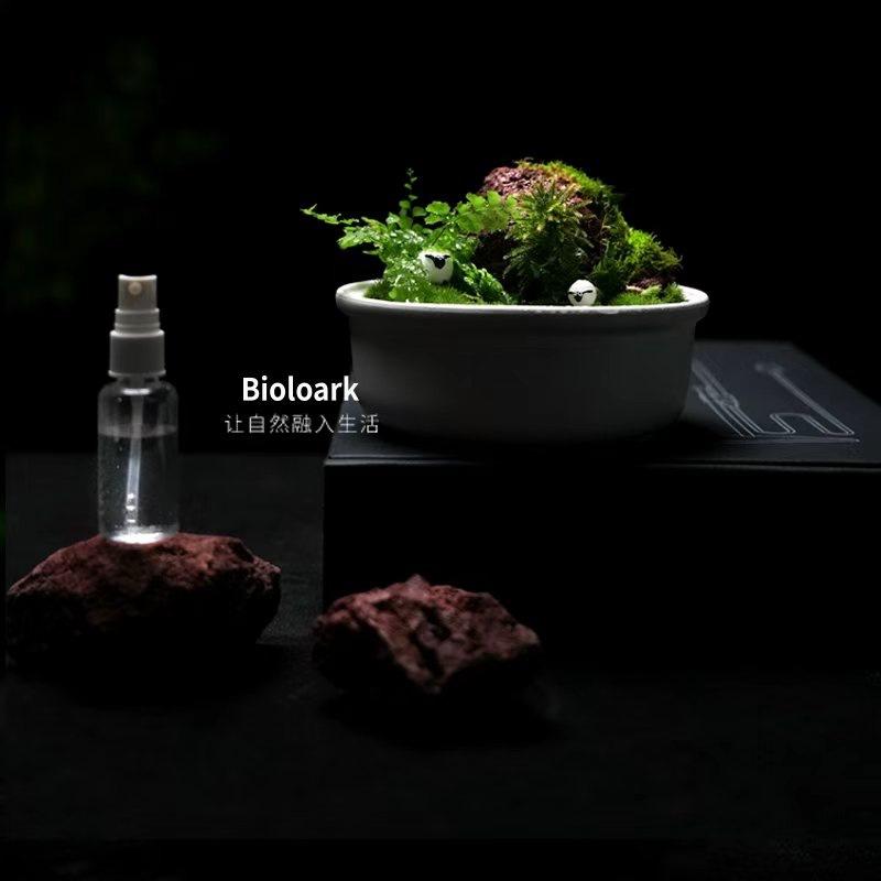 詠湦水植工坊｜Bioloark MY150K 新款 露集杯｜my-150K 生物方舟 生態瓶 苔蘚 多肉 微景觀-細節圖6